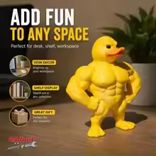 Home Gym Designs - تمثال البطة العضلي - ديكور مضحك