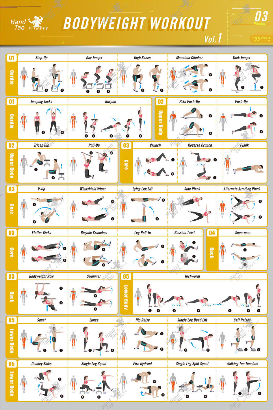 Home Gym Guide - تمرينات بوزن الجسم، دليل تمارين بناء